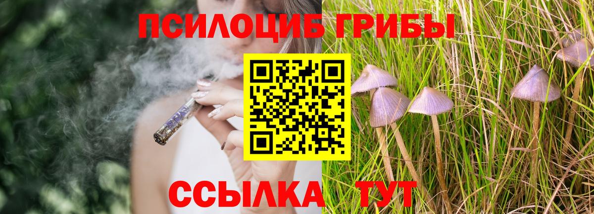 Курчатов  Псилоцибиновые грибы MAGIC MUSHROOMS  Вход с VPN 
